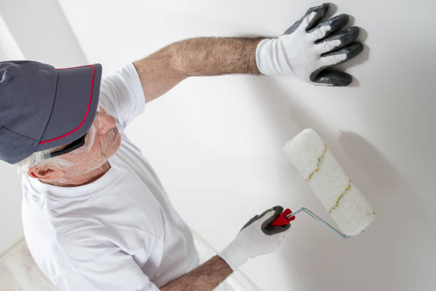 Best Environmental Consulting for Mold Prevention  in Okawvle, IL