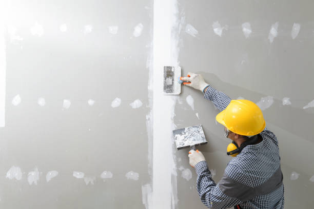 Best Mold Documentation for Insurance Claims  in Okawvle, IL