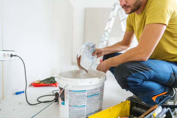 Best Mold Documentation for Insurance Claims  in Okawvle, IL