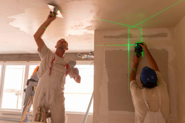 Best Real Estate Mold Inspection  in Okawvle, IL