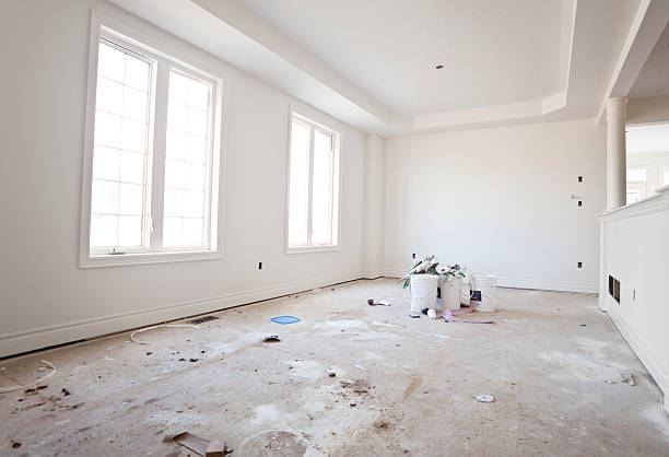 Best Airborne Mold Testing  in Okawvle, IL
