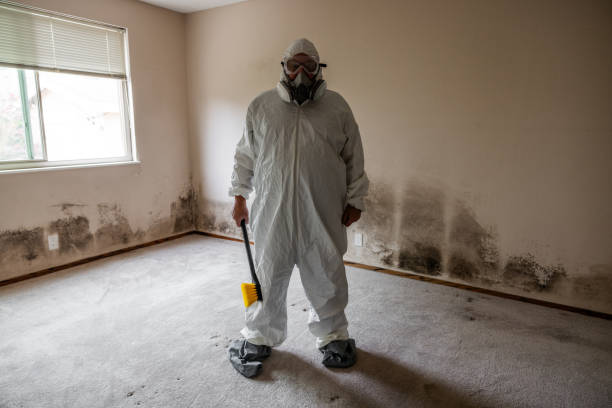 Best Mold Removal for HVAC Installations  in Okawvle, IL