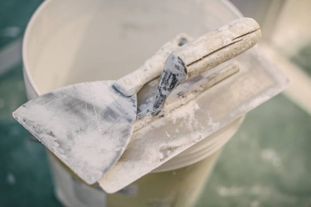 Best Water Damage & Mold Remediation  in Okawvle, IL