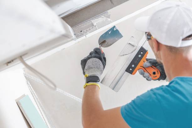 Best Mold Remediation for Healthcare Facilities  in Okawvle, IL